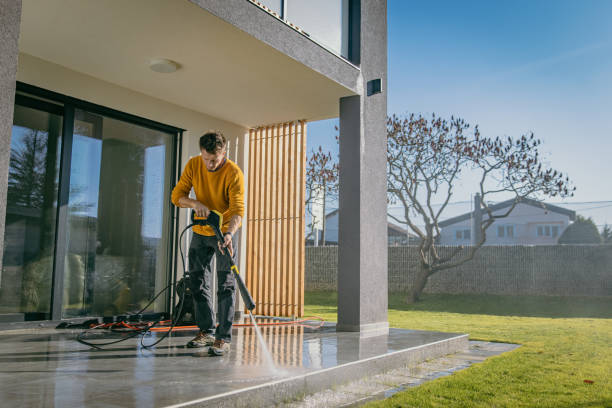 Best Solar Panel Cleaning  in South Pekin, IL