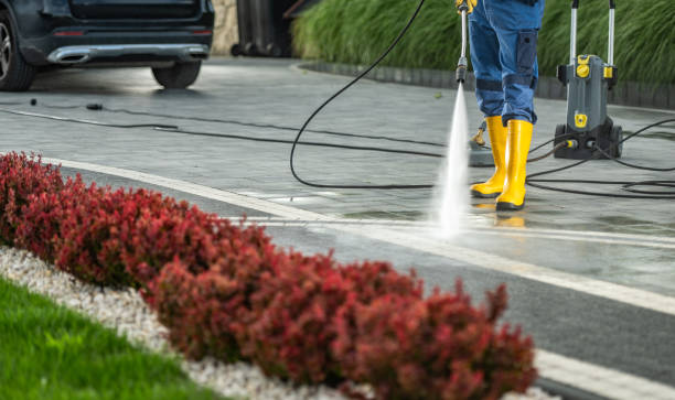 Best House Exterior Washing  in South Pekin, IL
